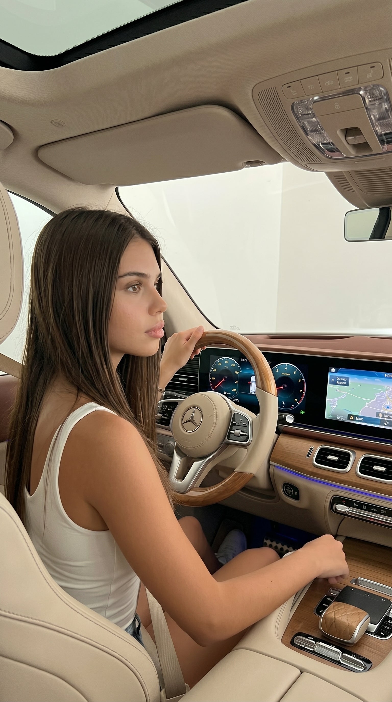 Luxury Auto Interiors (100 Prompts)